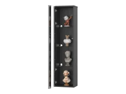 Vitrina multifunción - 40 x 29 x 170 cm - con puerta de cristal + LEDs - PB + Cristal - negra