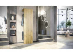 Vladon Mueble recibidor Carlton Set 5, Mueble de entrada compuesto por 1 Perchero con Puerta integrada y 1 Barra, antracita mate/roble natural (52 x 193 x 35 cm)