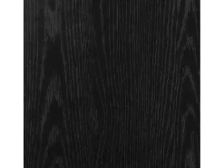Zapatero negro 61x32x70 cm madera de ingeniería