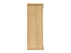 Zapatero 60x35x96 cm madera maciza de pino